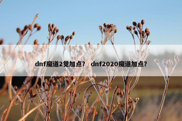 dnf魔道2觉加点？ dnf2020魔道加点？