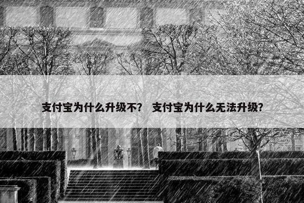 支付宝为什么升级不？ 支付宝为什么无法升级？