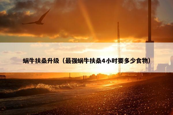 蜗牛扶桑升级（最强蜗牛扶桑4小时要多少食物）