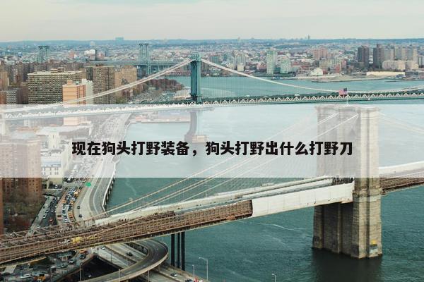现在狗头打野装备，狗头打野出什么打野刀
