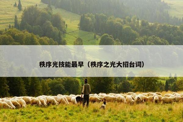秩序光技能最早（秩序之光大招台词）