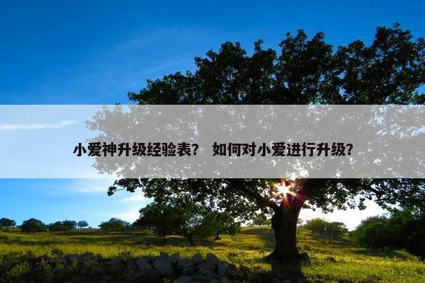 小爱神升级经验表？ 如何对小爱进行升级？