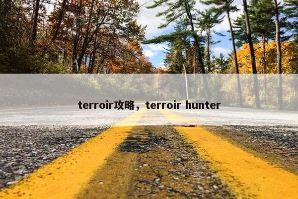 terroir攻略，terroir hunter