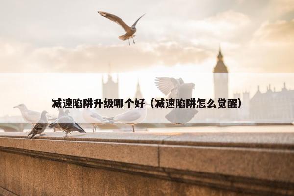 减速陷阱升级哪个好（减速陷阱怎么觉醒）