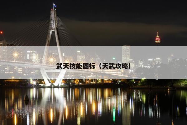 武天技能图标（天武攻略）