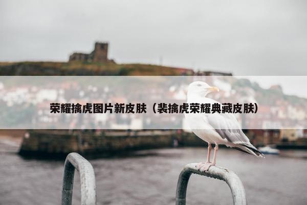 荣耀擒虎图片新皮肤（裴擒虎荣耀典藏皮肤）