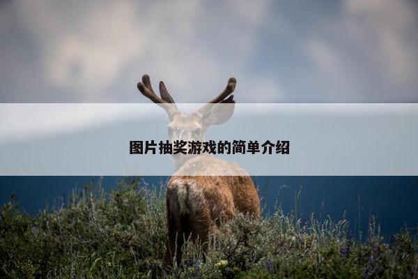 图片抽奖游戏的简单介绍