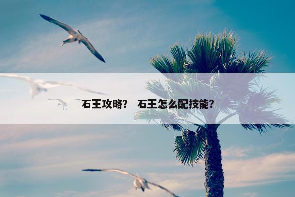 石王攻略？ 石王怎么配技能？