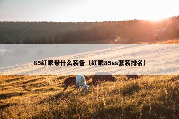 85红眼带什么装备（红眼85ss套装排名）