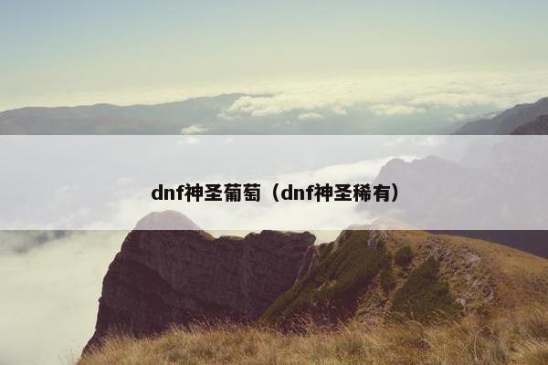 dnf神圣葡萄（dnf神圣稀有）