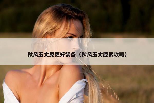 秋风五丈原更好装备（秋风五丈原武攻略）