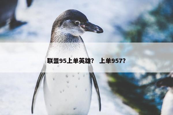 联盟95上单英雄？ 上单957？