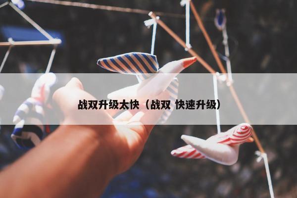战双升级太快（战双 快速升级）