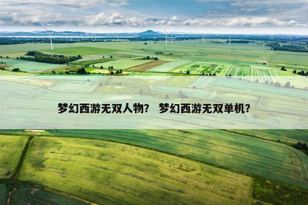梦幻西游无双人物？ 梦幻西游无双单机？