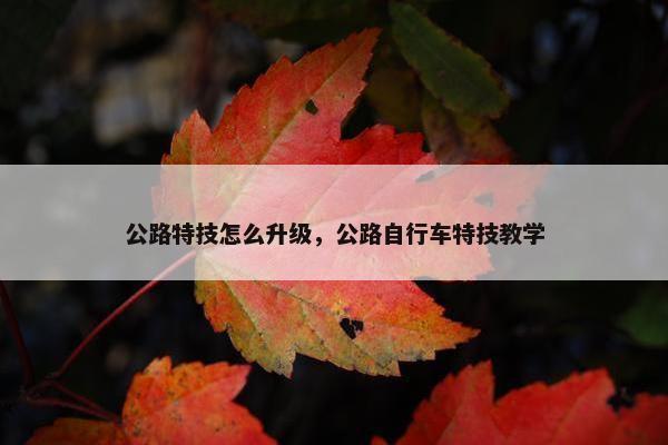 公路特技怎么升级，公路自行车特技教学