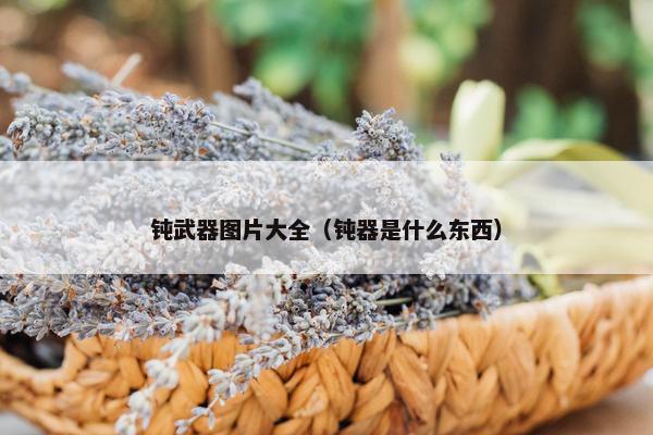 钝武器图片大全（钝器是什么东西）