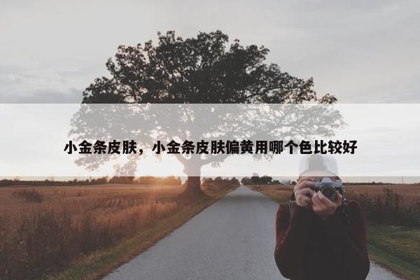 小金条皮肤，小金条皮肤偏黄用哪个色比较好