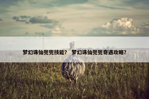 梦幻诛仙兜兜技能？ 梦幻诛仙兜兜奇遇攻略？