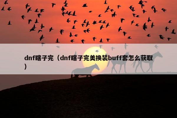 dnf瞎子完（dnf瞎子完美换装buff套怎么获取）