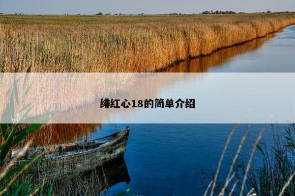 绯红心18的简单介绍