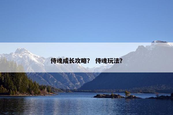 侍魂成长攻略？ 侍魂玩法？