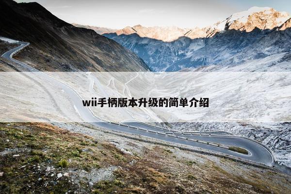 wii手柄版本升级的简单介绍
