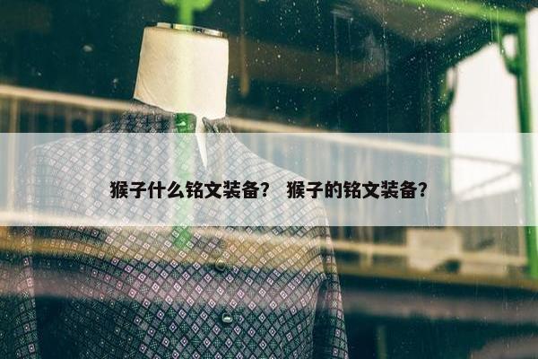 猴子什么铭文装备？ 猴子的铭文装备？
