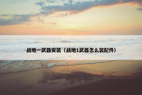战地一武器安装（战地1武器怎么装配件）