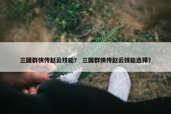 三国群侠传赵云技能？ 三国群侠传赵云技能选择？