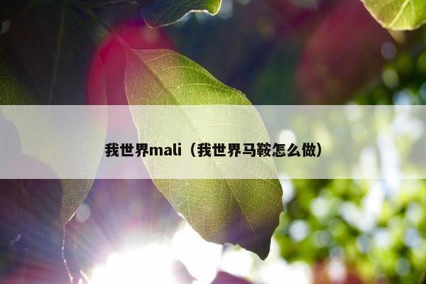 我世界mali（我世界马鞍怎么做）