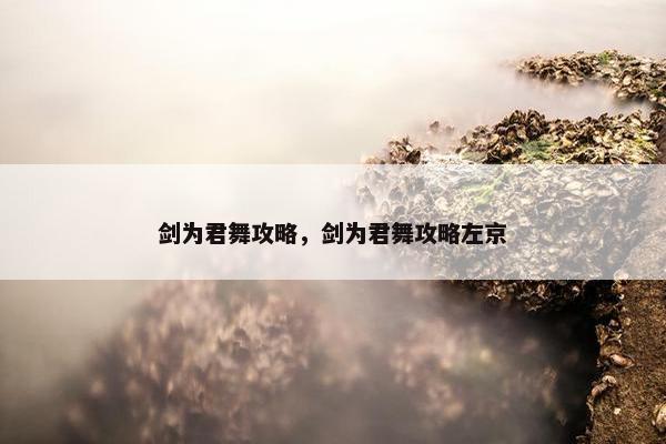 剑为君舞攻略，剑为君舞攻略左京