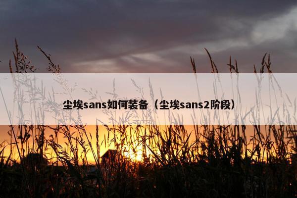 尘埃sans如何装备（尘埃sans2阶段）