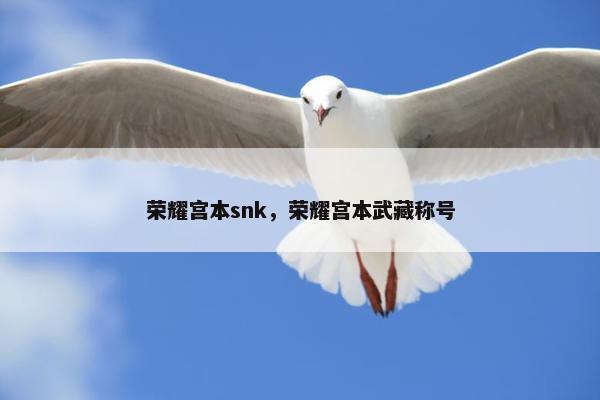 荣耀宫本snk，荣耀宫本武藏称号