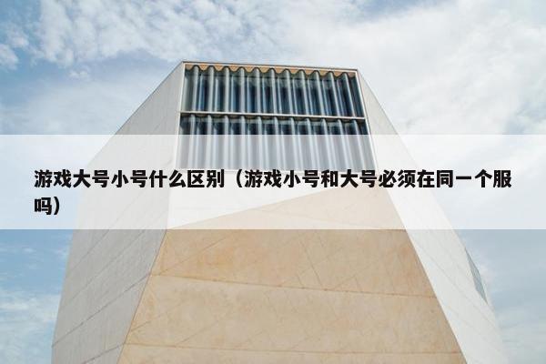 游戏大号小号什么区别（游戏小号和大号必须在同一个服吗）