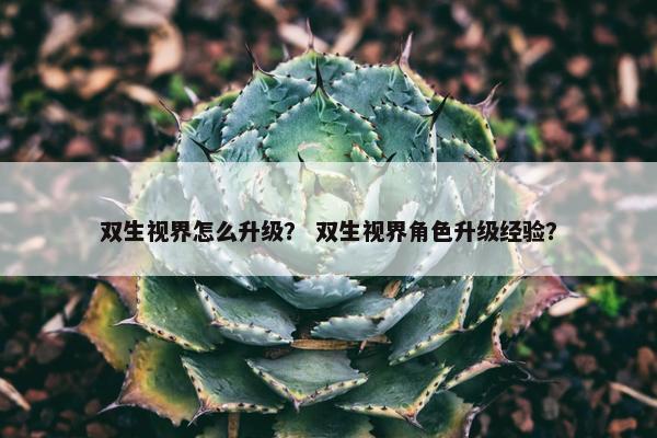 双生视界怎么升级？ 双生视界角色升级经验？