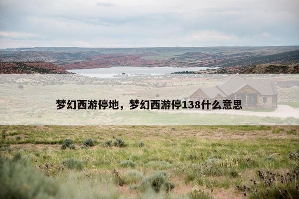 梦幻西游停地，梦幻西游停138什么意思