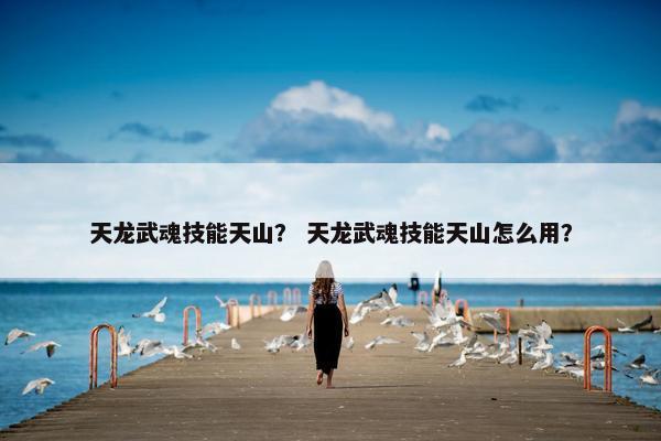 天龙武魂技能天山？ 天龙武魂技能天山怎么用？