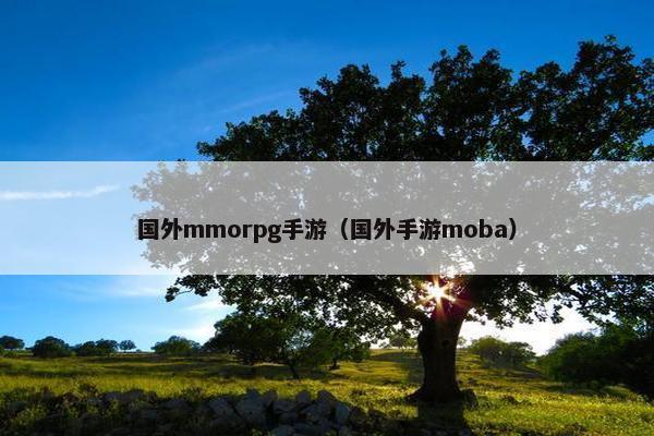 国外mmorpg手游（国外手游moba）