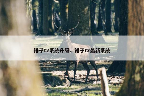 锤子t2系统升级，锤子t2最新系统