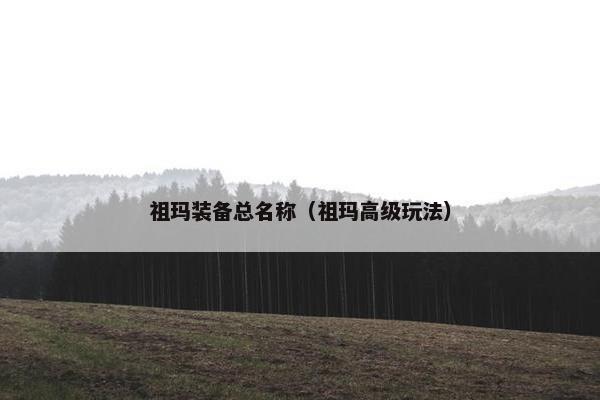 祖玛装备总名称（祖玛高级玩法）