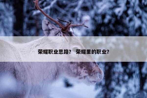 荣耀职业思路？ 荣耀里的职业？