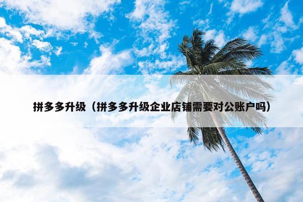 拼多多升级（拼多多升级企业店铺需要对公账户吗）