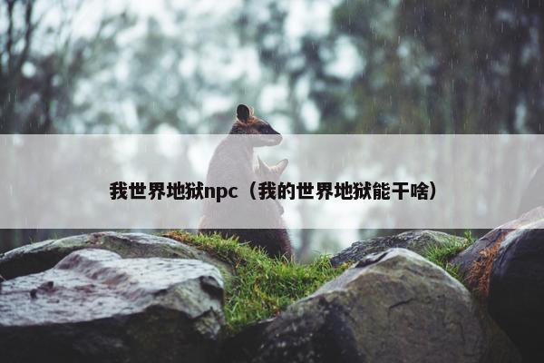 我世界地狱npc（我的世界地狱能干啥）