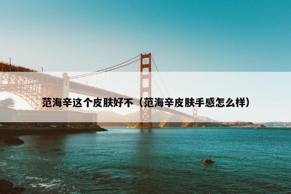 范海辛这个皮肤好不（范海辛皮肤手感怎么样）