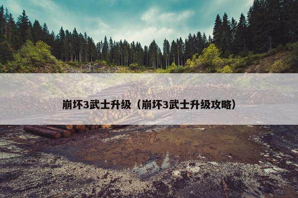崩坏3武士升级（崩坏3武士升级攻略）