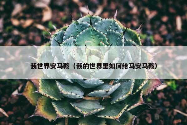 我世界安马鞍（我的世界里如何给马安马鞍）