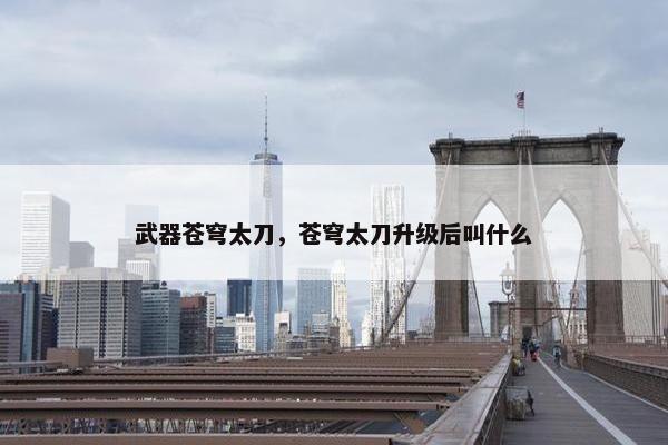 武器苍穹太刀，苍穹太刀升级后叫什么