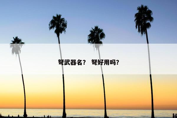 弩武器名？ 弩好用吗？