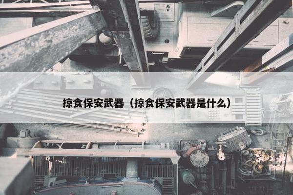 掠食保安武器（掠食保安武器是什么）
