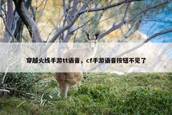穿越火线手游tt语音，cf手游语音按钮不见了